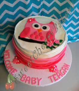 pink owl cake-teagan